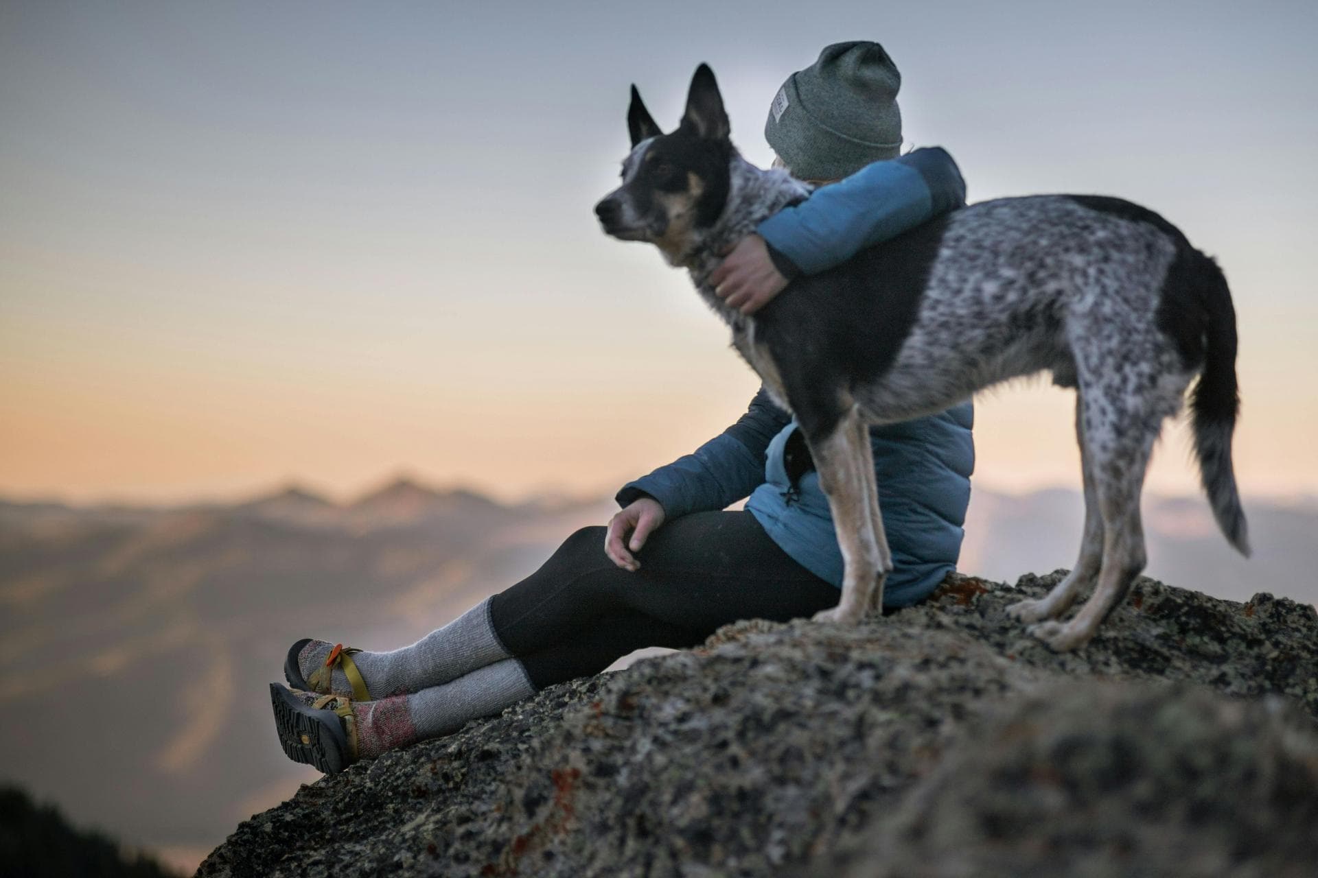 Dog & Cat Vets in Saratoga Springs